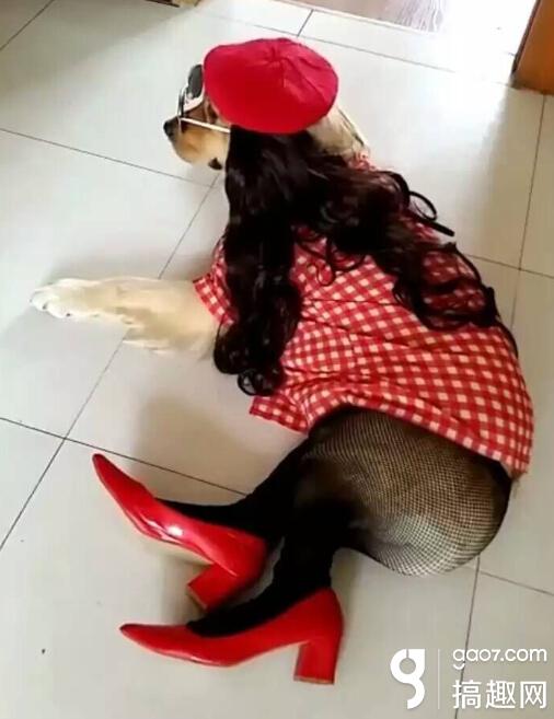 轻松一刻 穿啥衣服结婚也有规定