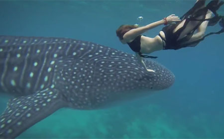 笑翻全场的超 智障 魔术 - 消失的手帕 – 搞趣网