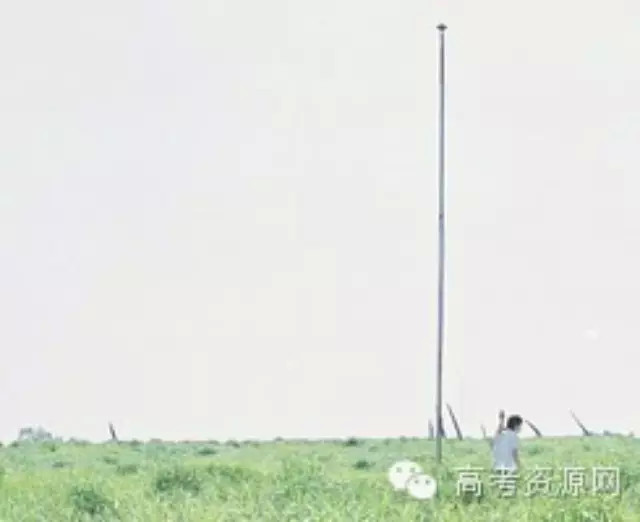 作文标题对文章的重要性