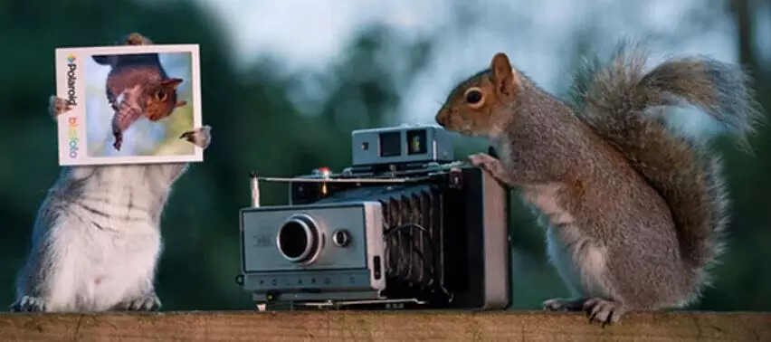 佛滔居士:搬家有哪些讲究?