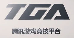 王者荣耀TGA冠军之路（安卓）不要太天真轻取冠军荣誉