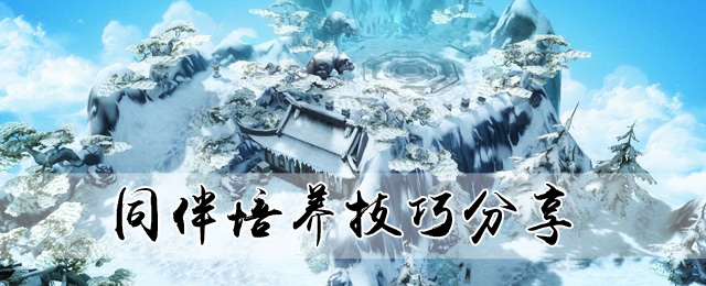 同伴培养技巧分享